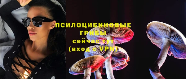 гидропоника Аркадак