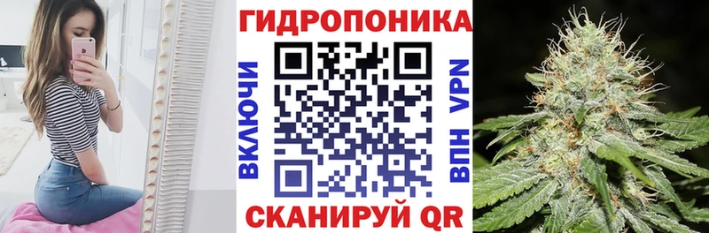 хочу наркоту  Ртищево  Конопля конопля 